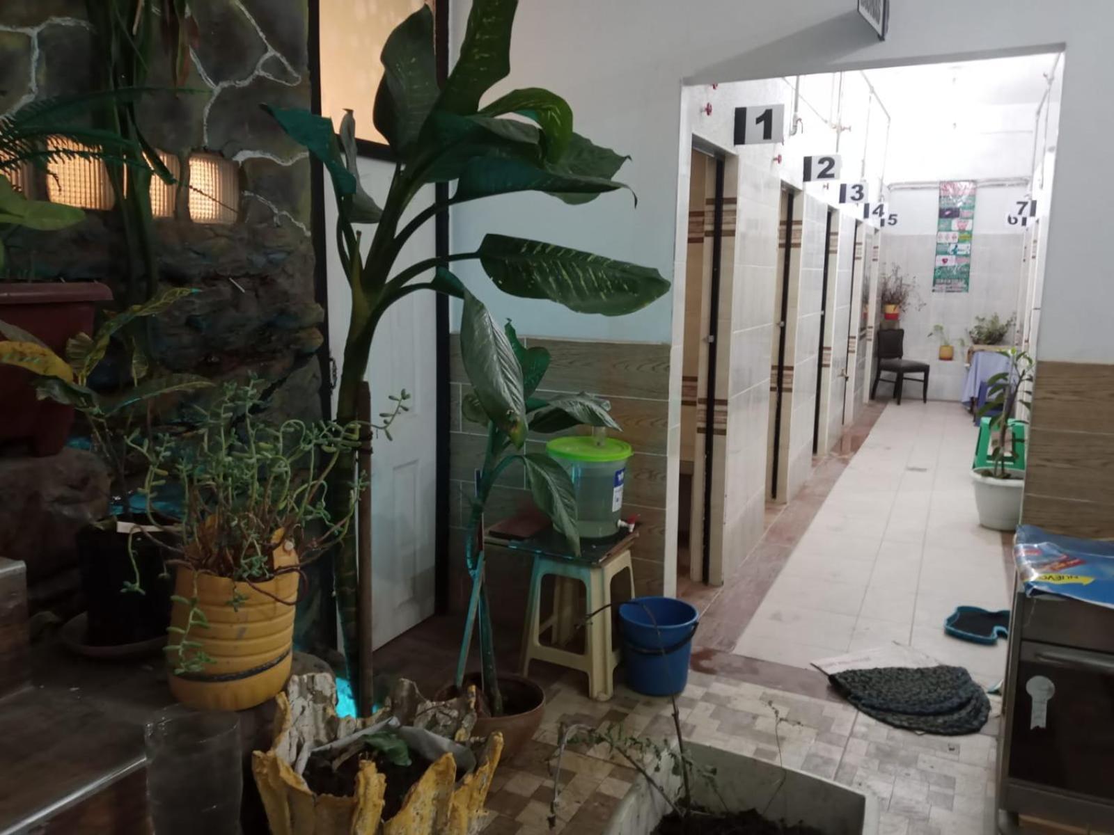 Casa Qura Qura Hostel Cochabamba Exterior photo